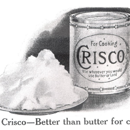 Crisco Second Chance: Crisco Inbrand / Cast Iron Seasoning tbv Dutch Oven 453 gram